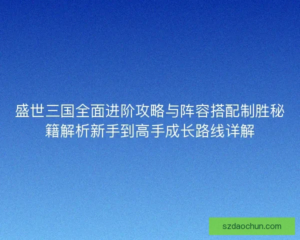盛世三国全面进阶攻略与阵容搭配制胜秘籍解析新手到高手成长路线详解