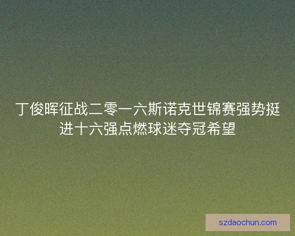 丁俊晖征战二零一六斯诺克世锦赛强势挺进十六强点燃球迷夺冠希望 丁俊晖征战二零一六斯诺克世锦赛强势挺进十六强点燃球迷夺冠希望